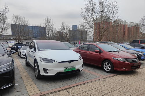 新能源新車漲更漲，二手反而香更香——車探零零玖帶你洞察二手車收購新機遇